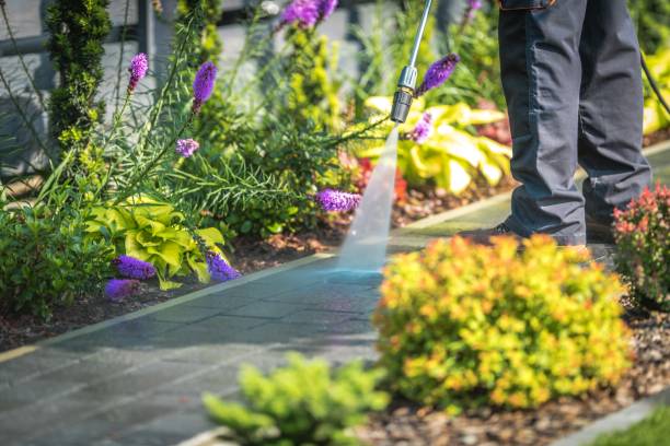 Trusted Marana, AZ  Pressure Washing Services Experts