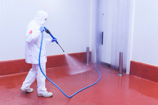 Best Residential Exterior Washing  in Marana, AZ